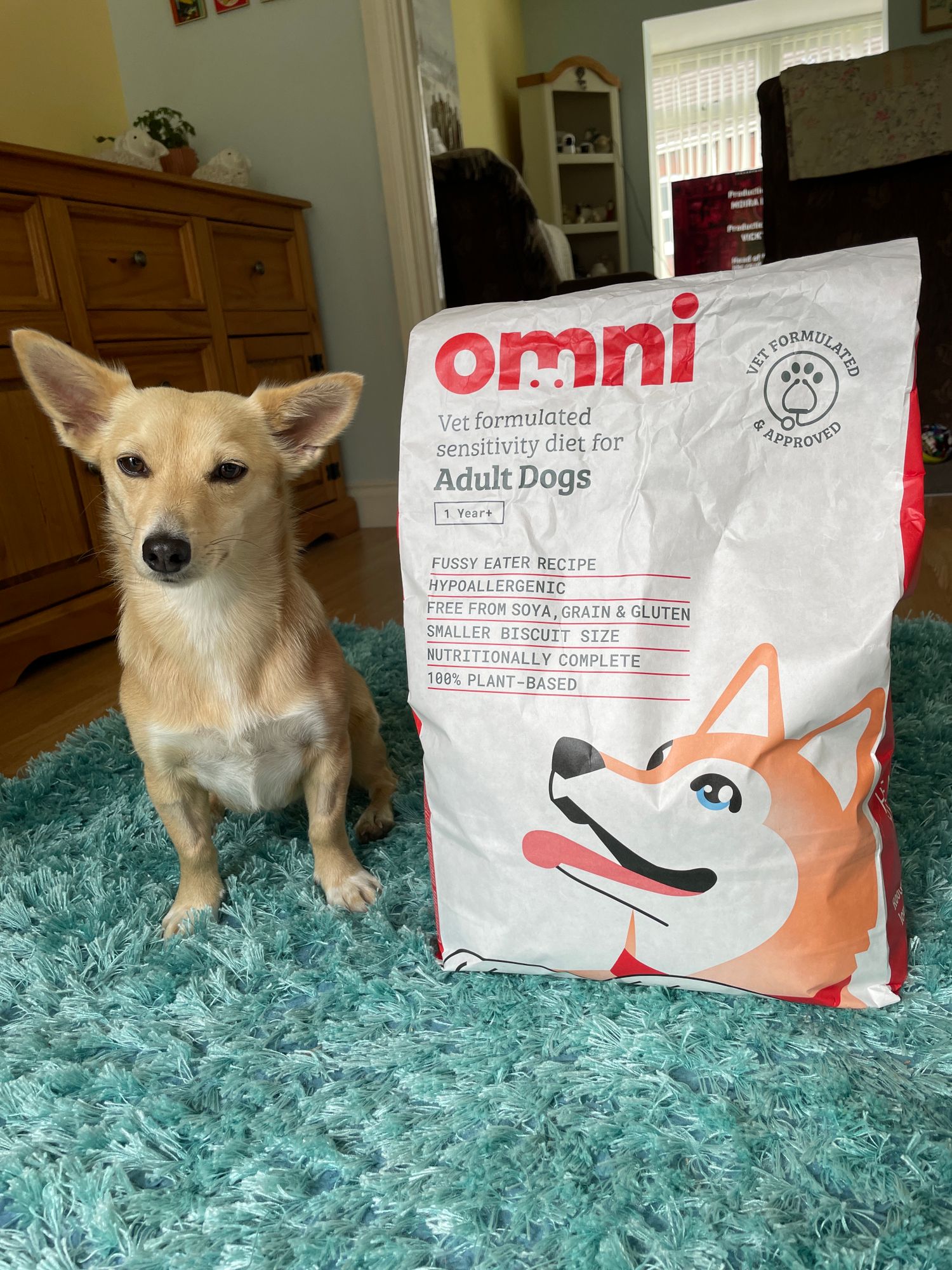 Calming Dog Treats for Anxiety Stress Relief Omni – Omni Pet