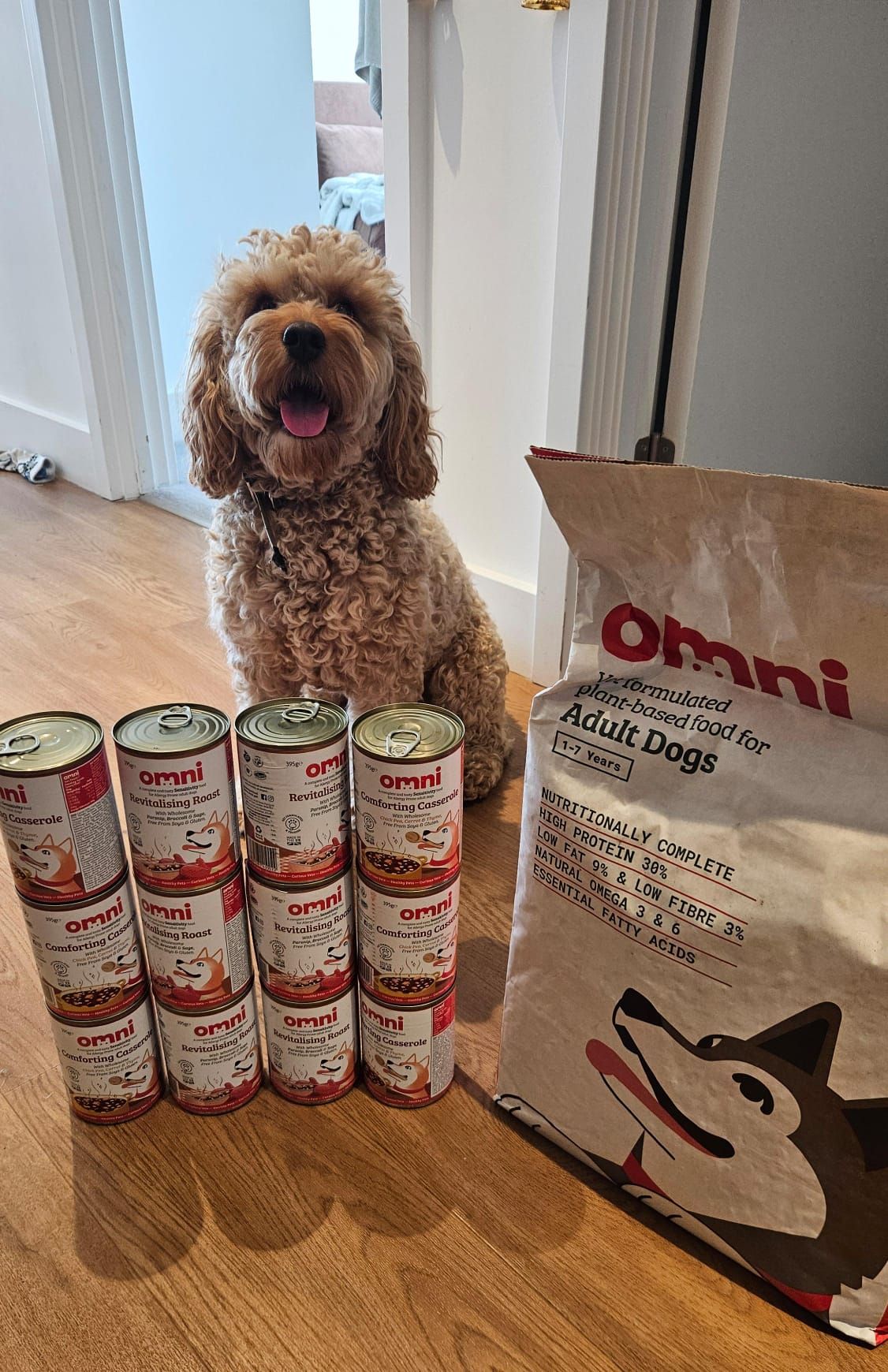 Gut-Friendly Dog Food Casseroles Comfort Meals by Omni – Omni