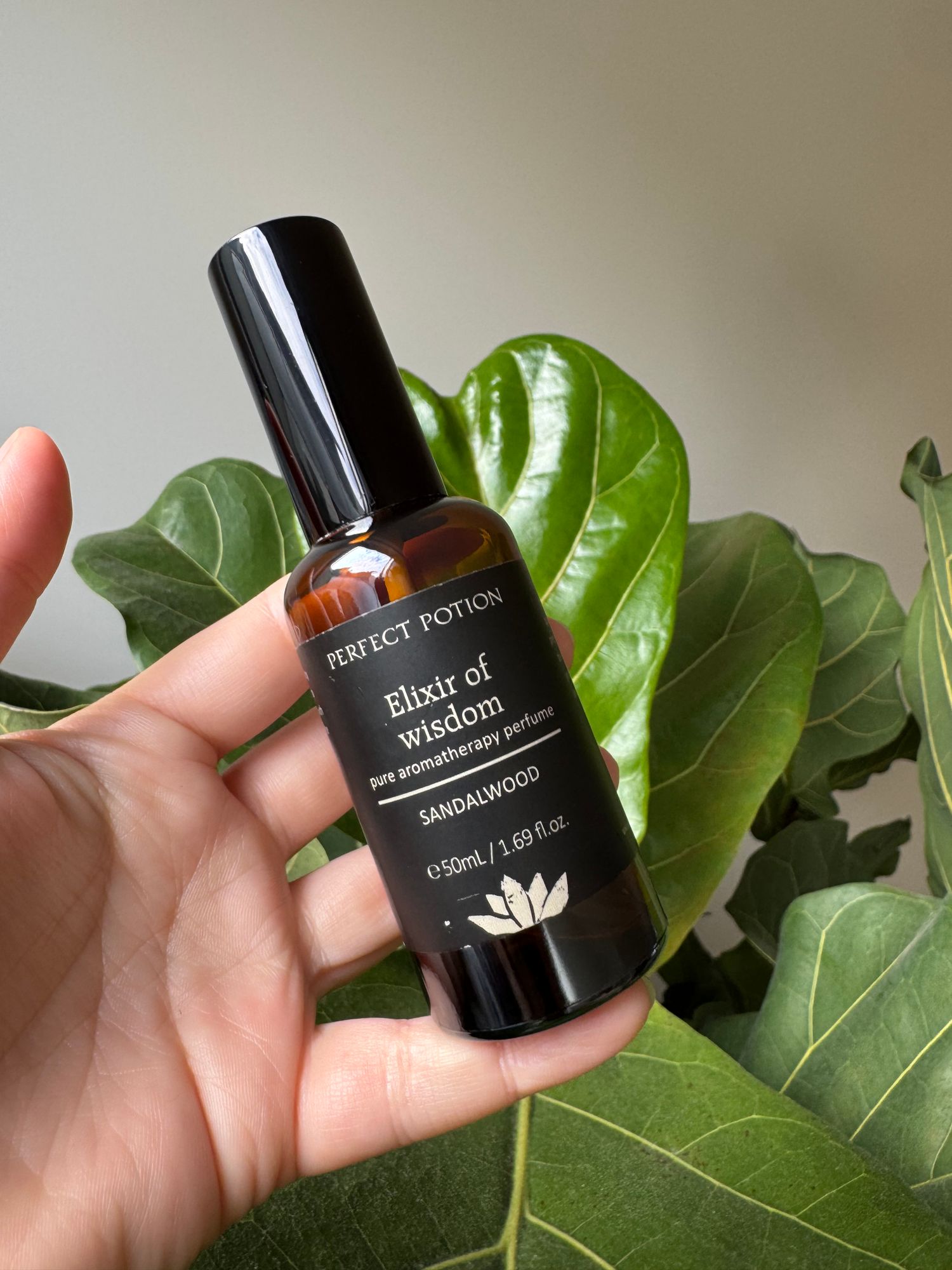 Elixir of Wisdom Natural Perfume