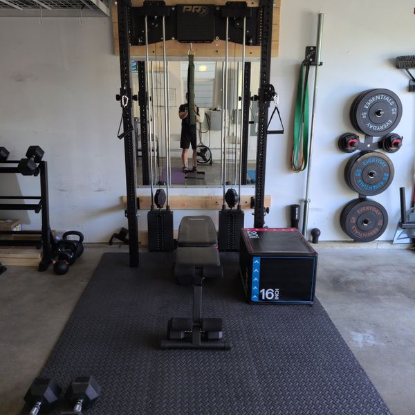 bench best dumbbells for home gym reddit
