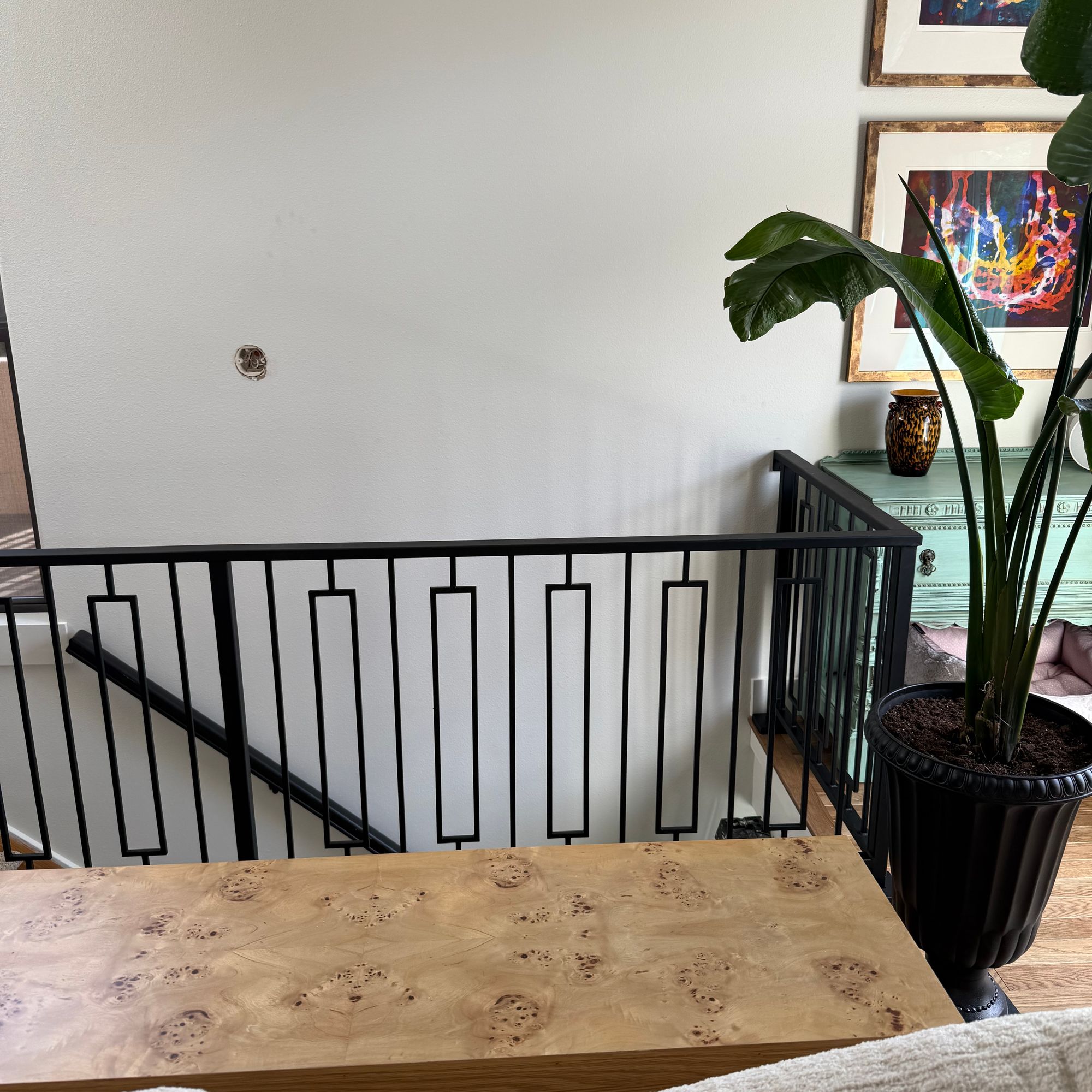 Interior staircase with black metal railing, white walls, framed artwork, and a large potted plant with green leaves