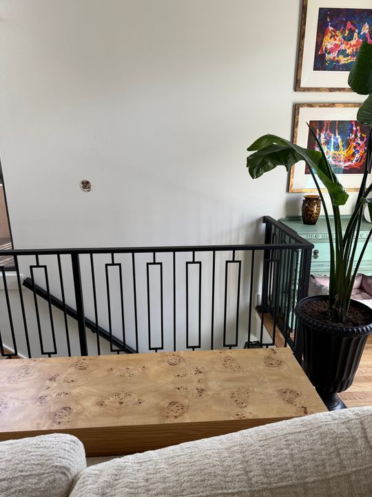 Interior staircase with black metal railing, white walls, framed artwork, and a large potted plant with green leaves