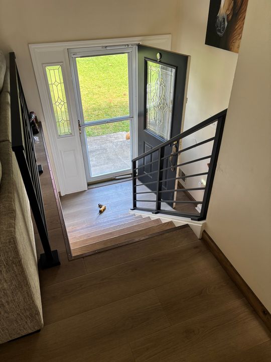 Interior view of a modern staircase with black metal railings leading down to an entryway with white front doors featuring decorative glass panels, hardwood flooring throughout, and a small dog visible on the lower level