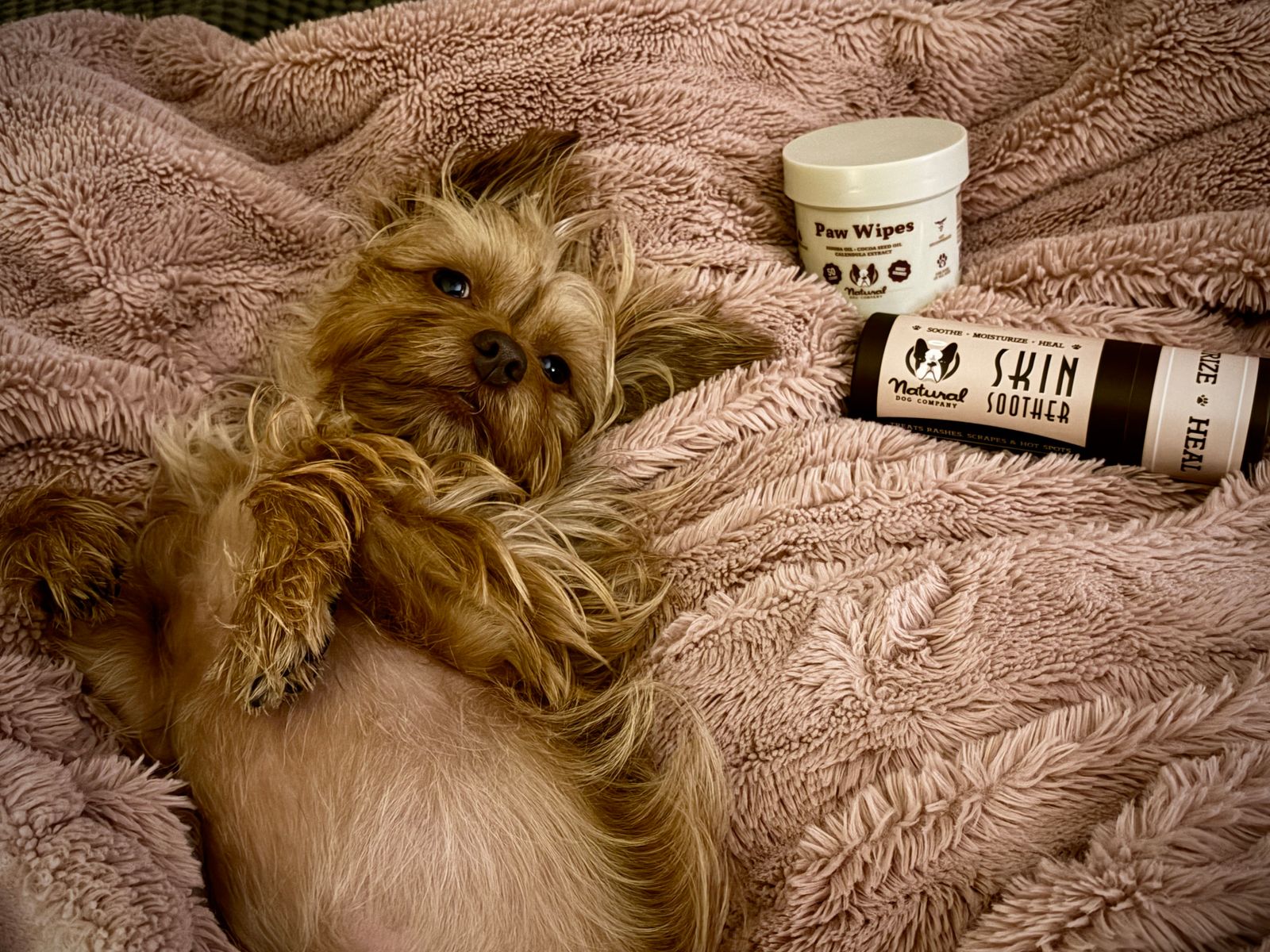 Skin Soother Balm for Dogs Natural Dog Company