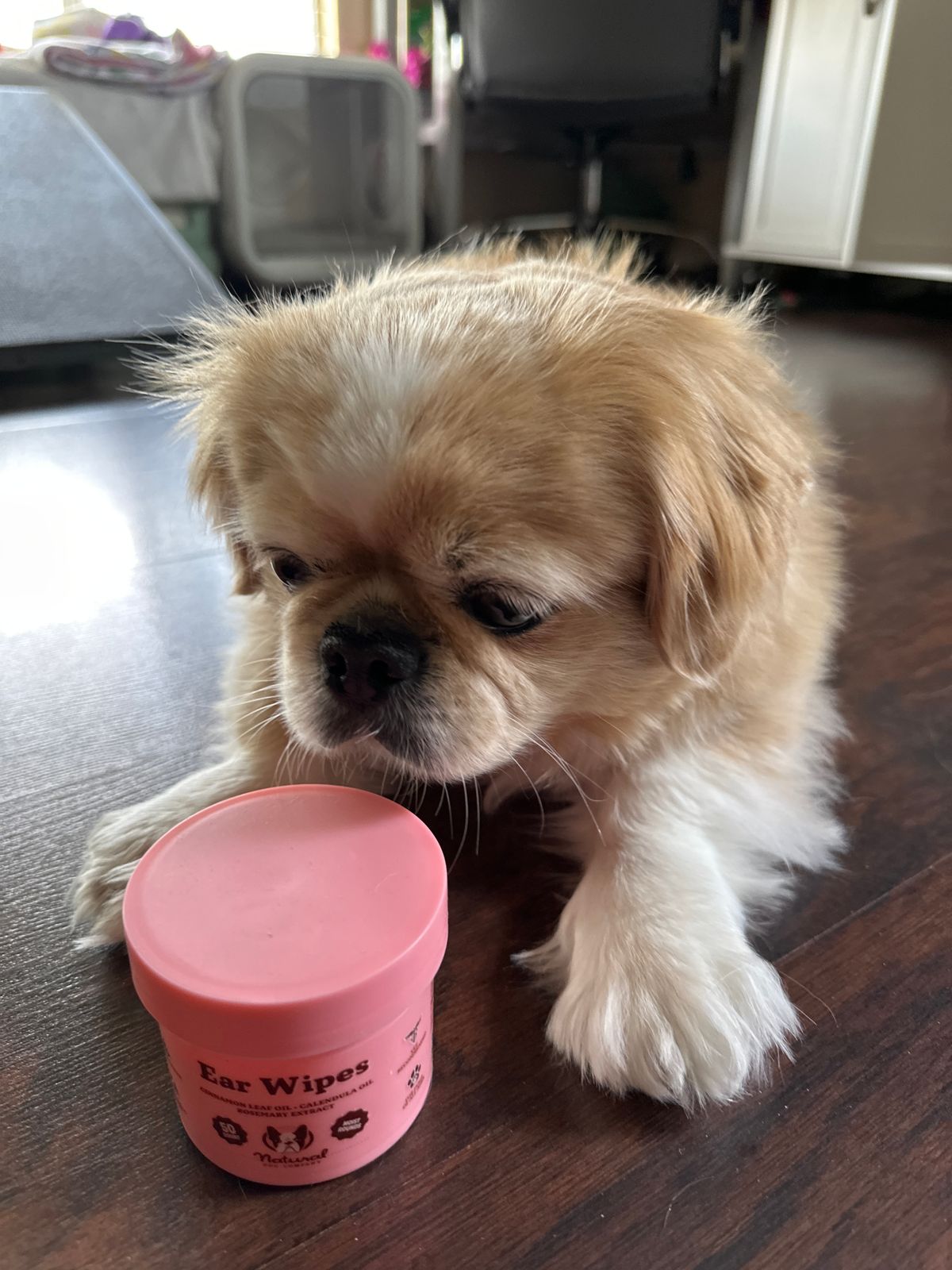 Ear Wipes – Natural Dog Company