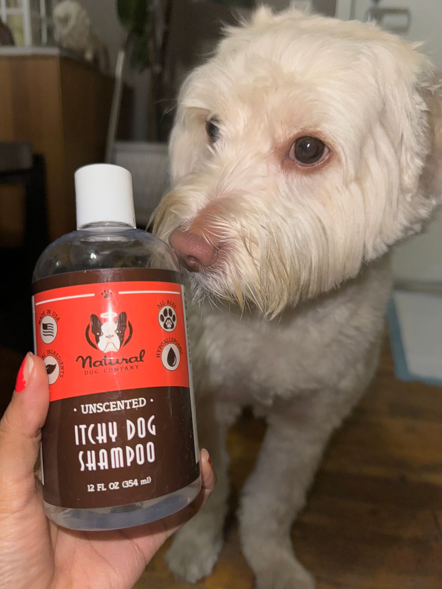 Shampoo Washing A Puppy HOT Your Dog Can You Wash A Puppy With