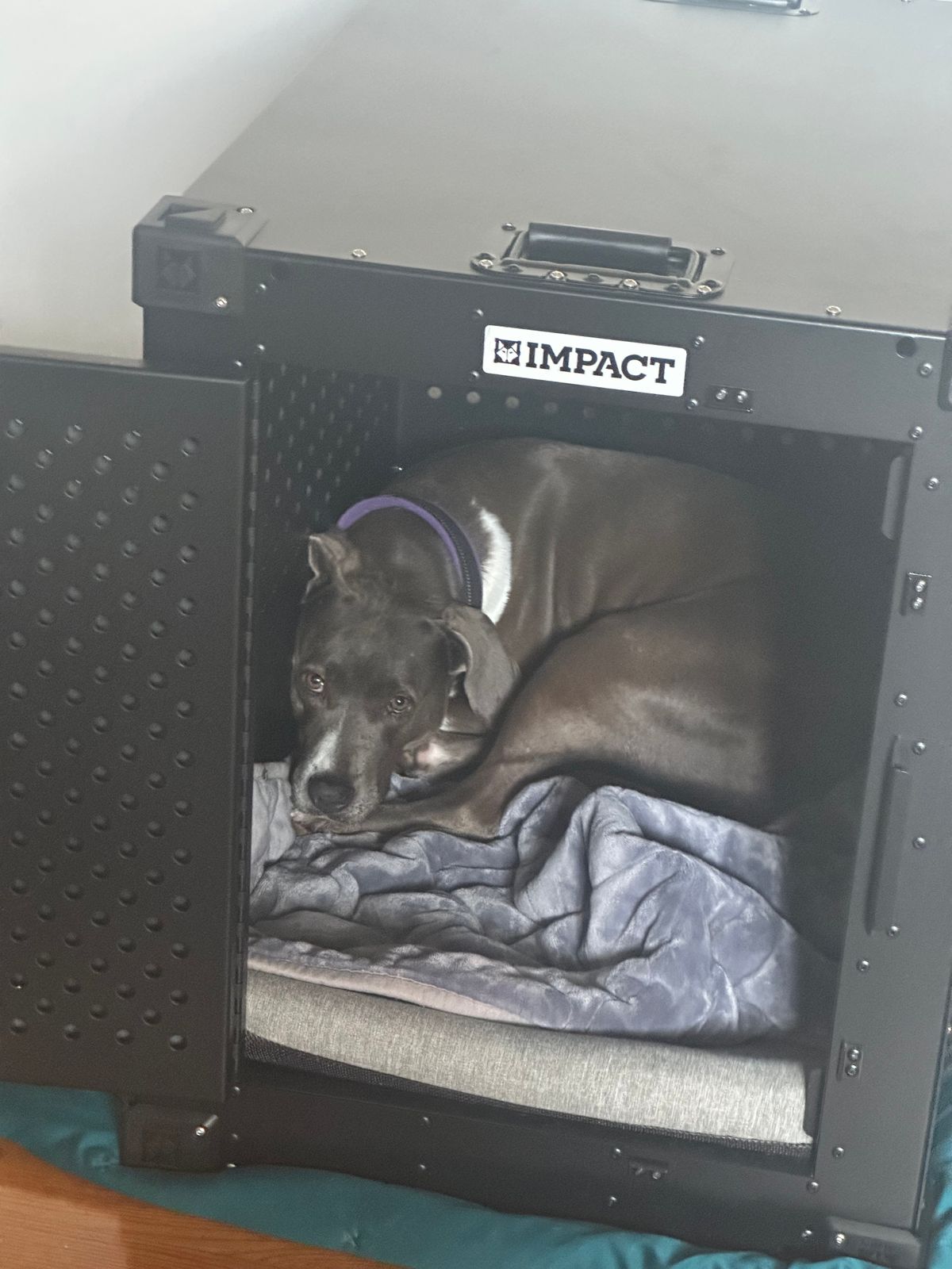 Crate Training Crate For Anxious Dog GratPaw Dog Crate Training