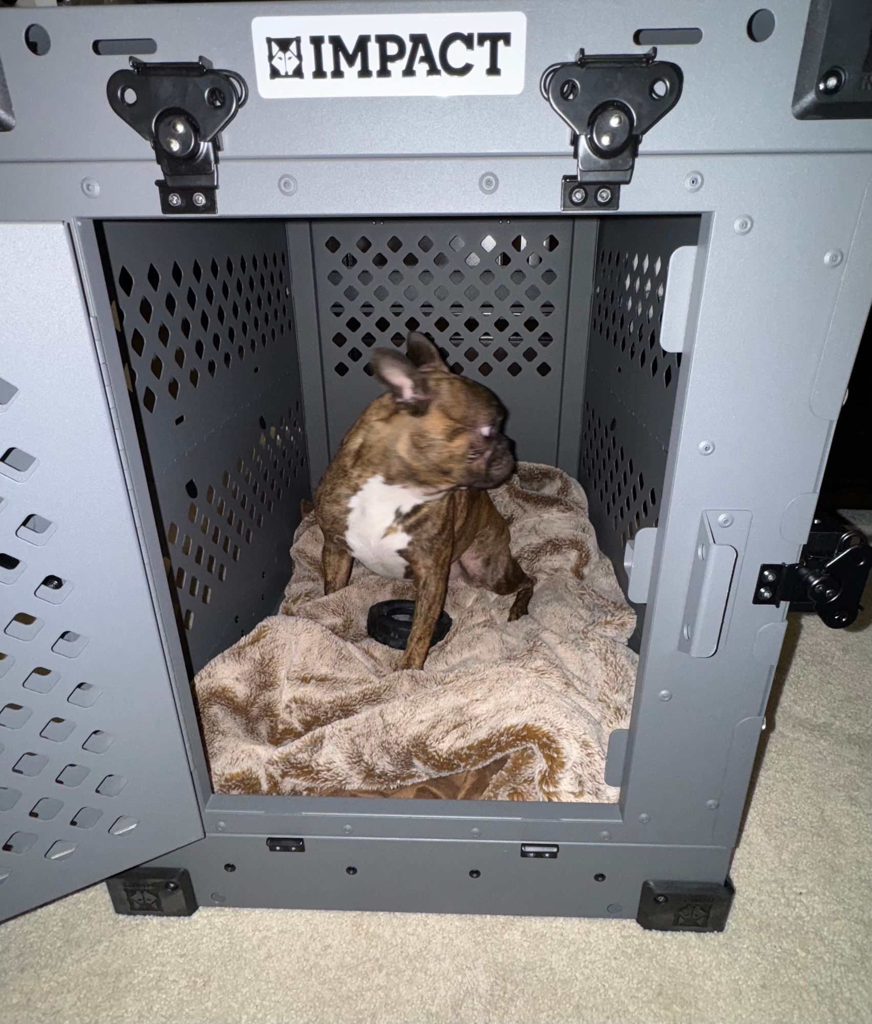 How to Collapse Metal Dog Crate: Quick & Easy Guide