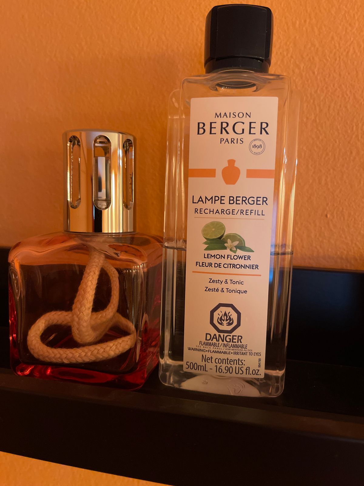 LAMPE BERGER PARIS GRES BREUGNOT EUGENE DECOR FLEUR EGLANTINES MADE IN FRANCE