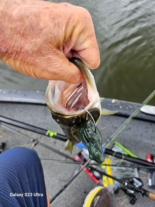 Fishing Lures Best Frog Rods For Bass Fishing Savage Gear Tough