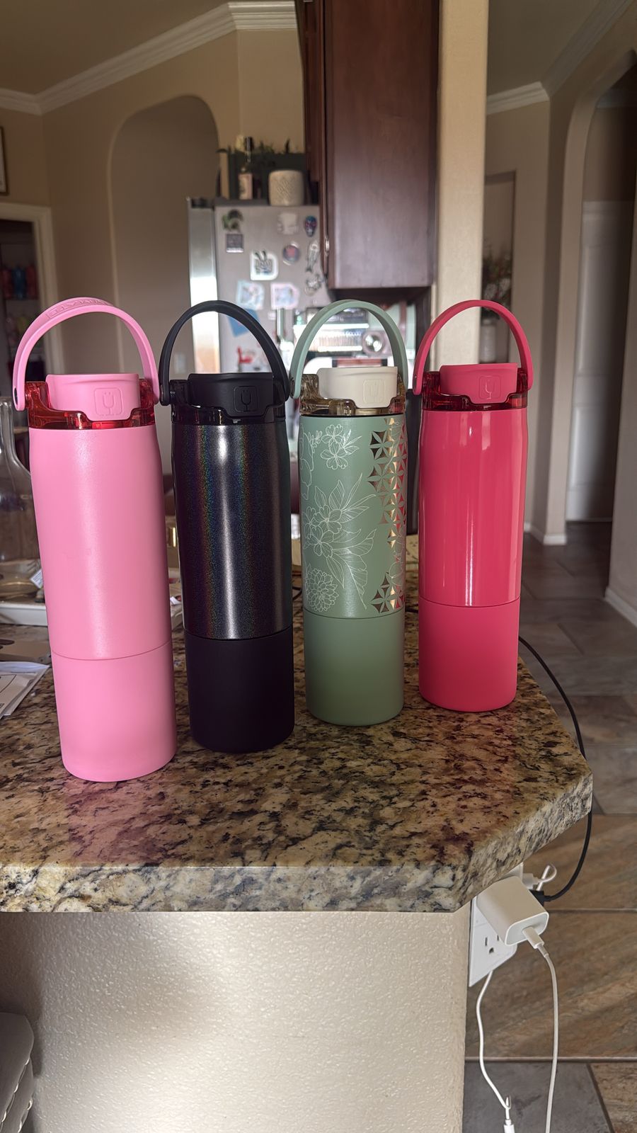 Step by Step Insulated Stainless Steel Drinking Bottle Dolphin Pippa