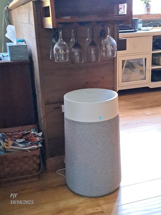 Blueair Blue Pure 411 Préfiltre lavable, élimine le pollen, la poussière, les squames d'animaux et autres polluants atmosphériques, jaune chamois (ABLA411ClothBY Blueair Blue Pure 411 Préfiltre lavable, élimine le pollen, la poussière, les squames d'animaux et autres polluants atmosphériques, jaune chamois (ABLA411ClothBY