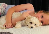 Customer-uploaded image. Click to see more details. The image represents: A young child lying on a bed cuddling with a small white fluffy dog