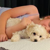 Customer-uploaded image. Click to see more details. The image represents: A young child lying on a bed cuddling with a small white fluffy dog