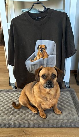 Susan’s dog beside a custom tee featuring the same dog