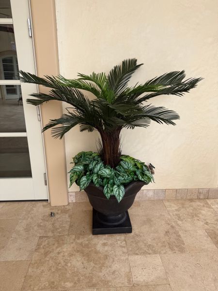 5' Phoenix Silk Palm Tree -Green | Phoenix Palm Trees  Silks Are Forever