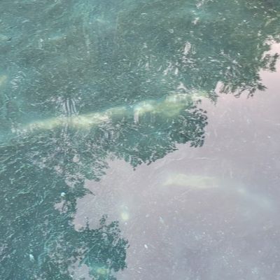 A circular swimming pool with clear blue water surrounded by stone edging