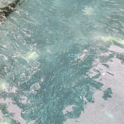 A tidal pool with clear turquoise water, seaweed and rocky formations