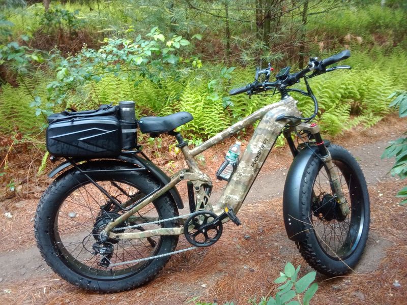 A camouflage-colored electric bicycle with fat tires and a rear cargo bag parked on a dirt trail surrounded by green ferns and forest vegetation