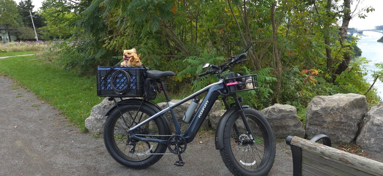 Electric bike parked on path with dog in rear basket, surrounded by green trees and rocks near waterfront