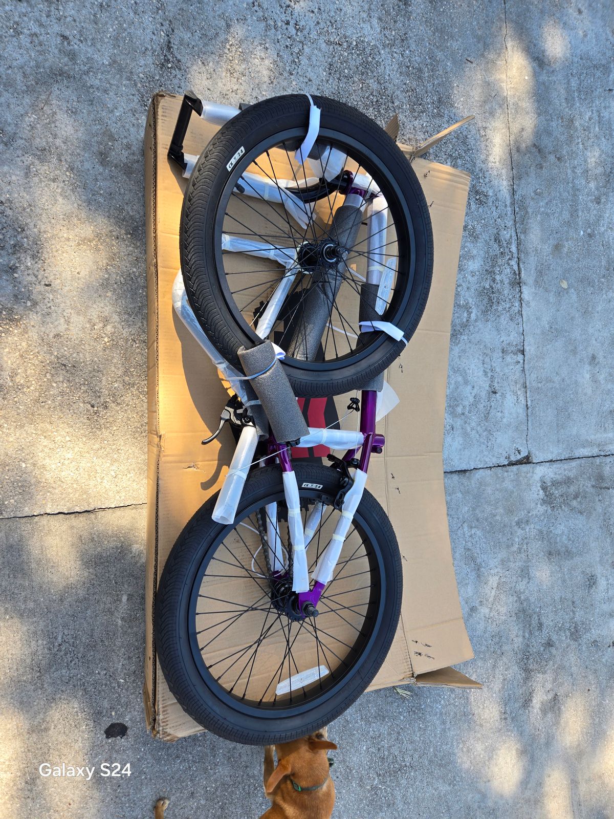 Haro Dana BMX Bike – Source BMX US