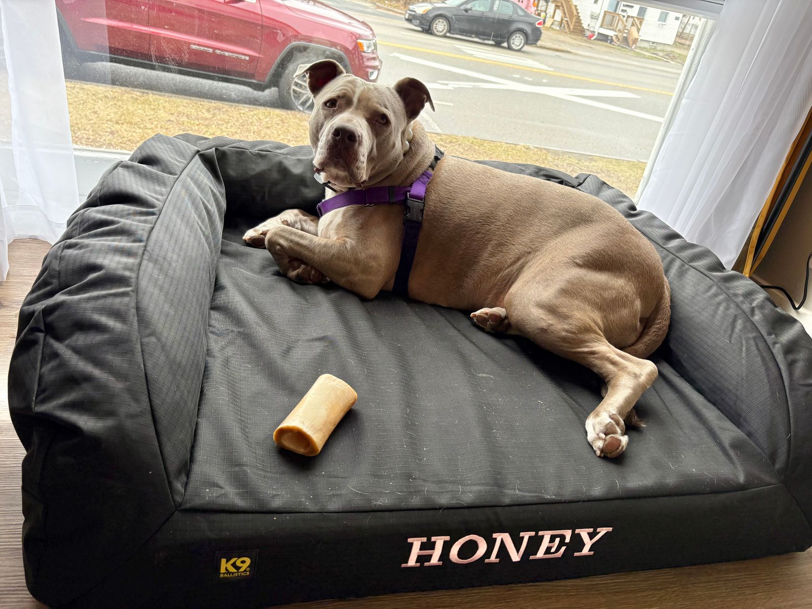 Personalization Added – K9 Ballistics