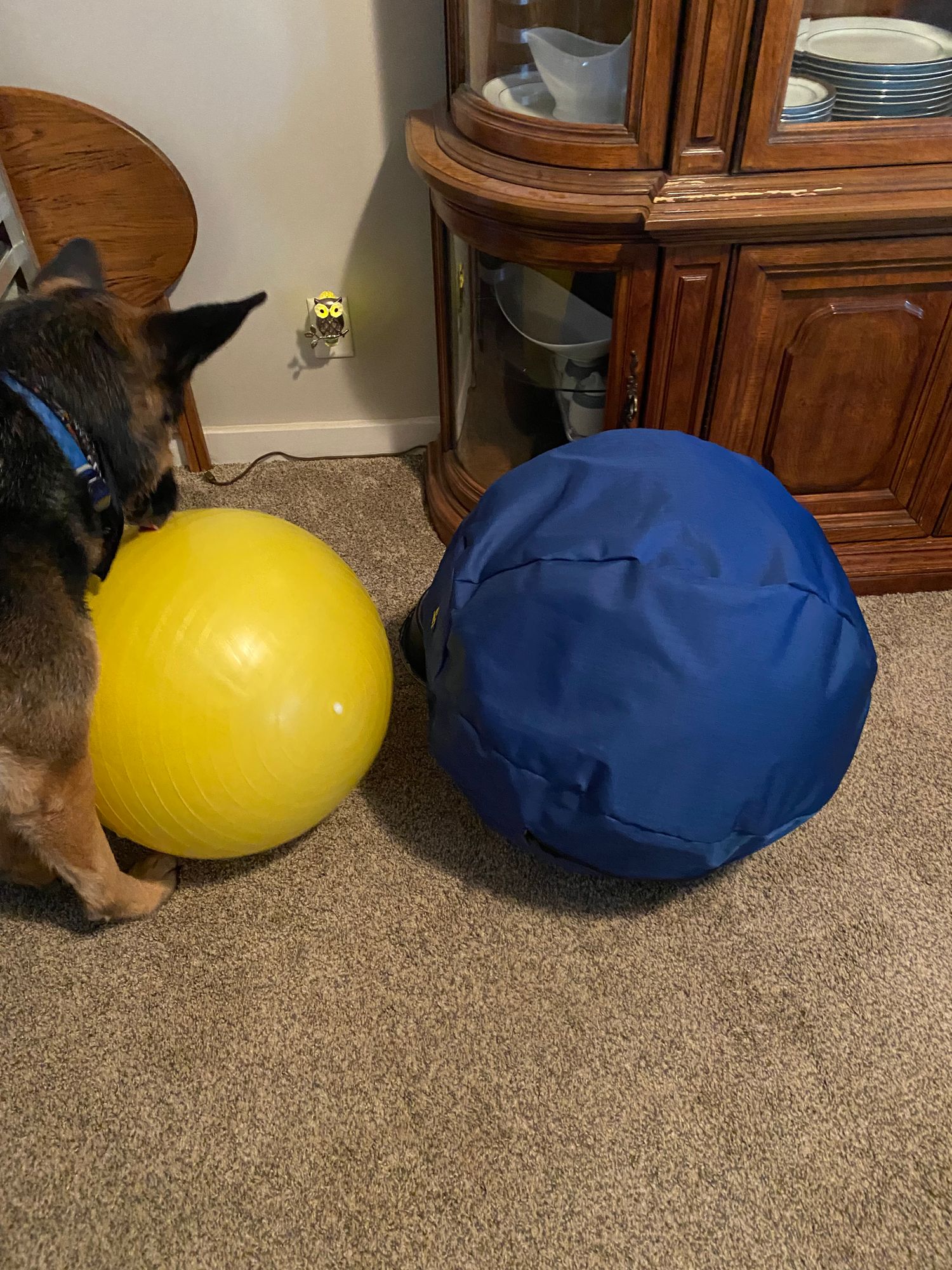 K9 Play™ Herding Ball Dog Toy – K9 Ballistics