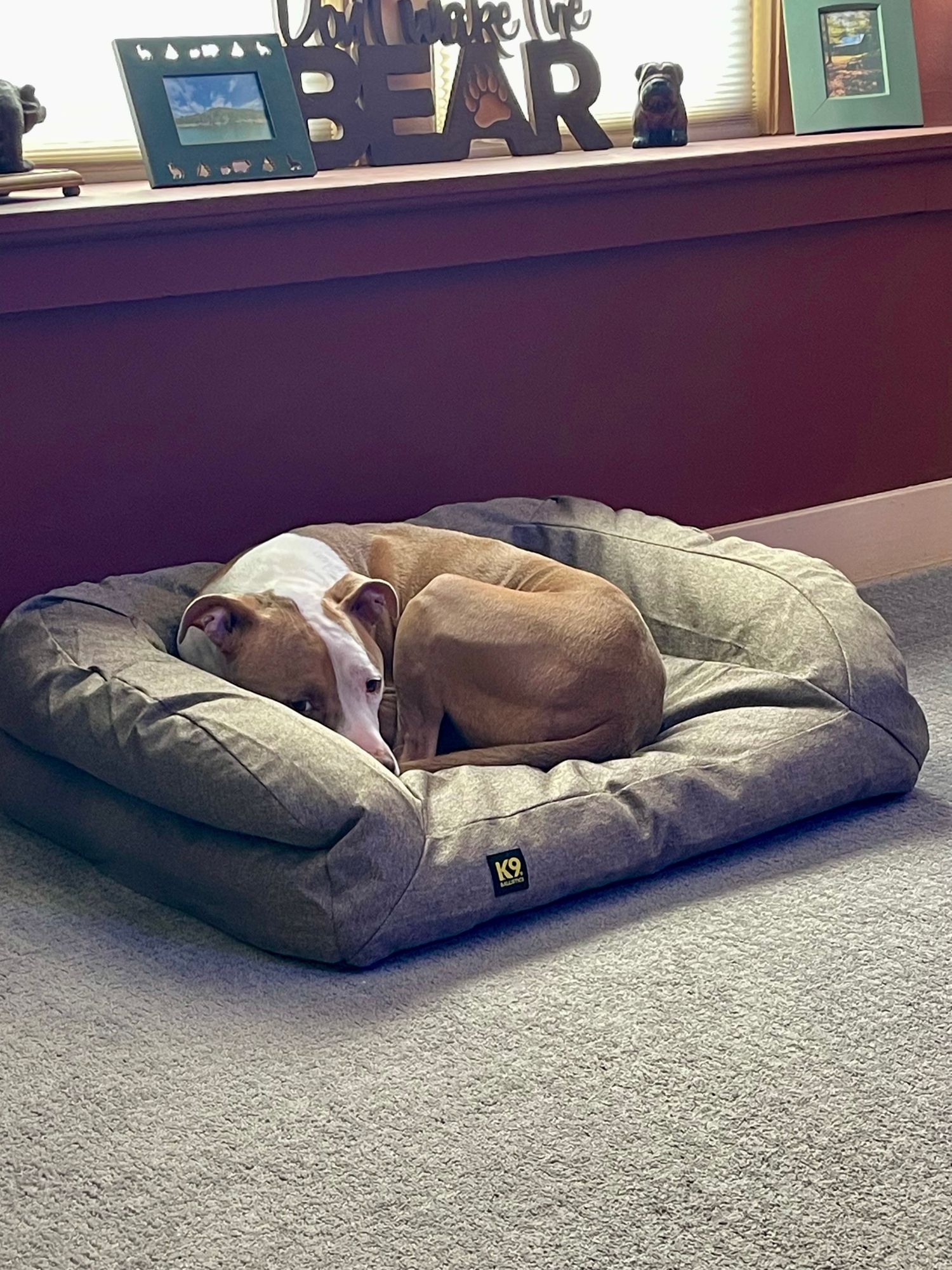 Tough Rip-Stop™ Rectangle Bolster Dog Bed Cover K9 Ballistics®
