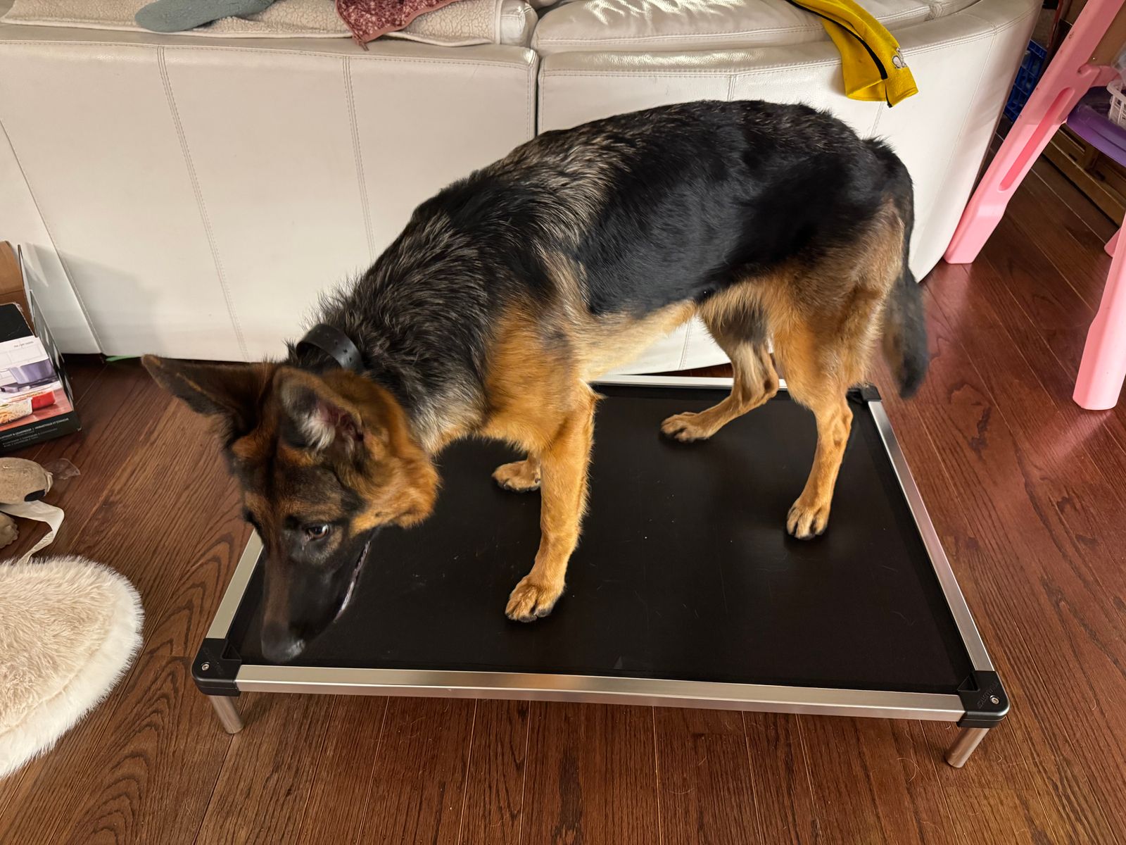 Dog Bed K9 Ballistics Toys Indestructible Dog Bed K9 Ballistics Tough Dog Bed (XL) Chew