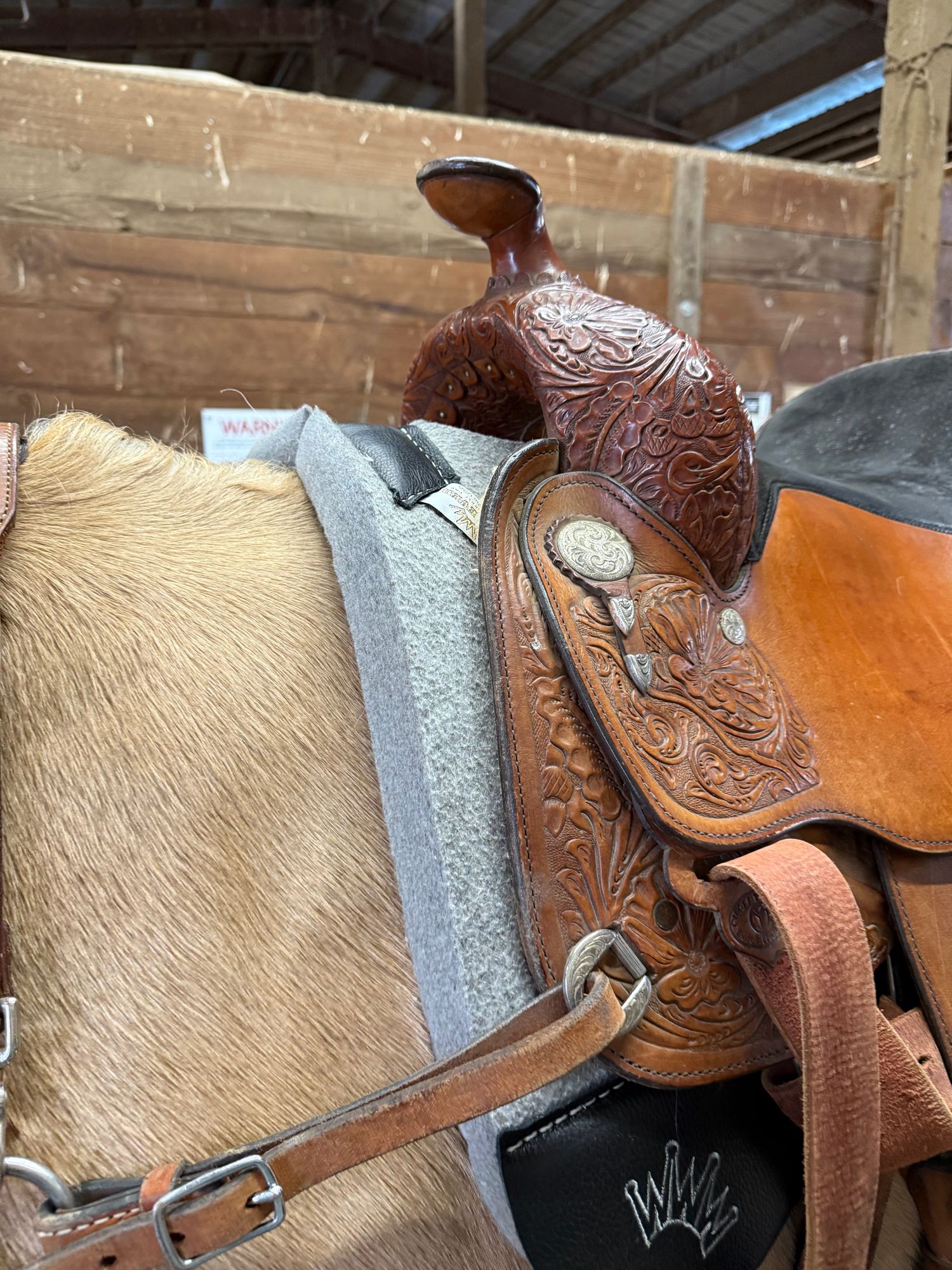 Best Ever Pads 1/4 Inch Felt Saddle Pad with Smooth Black Wear Leath