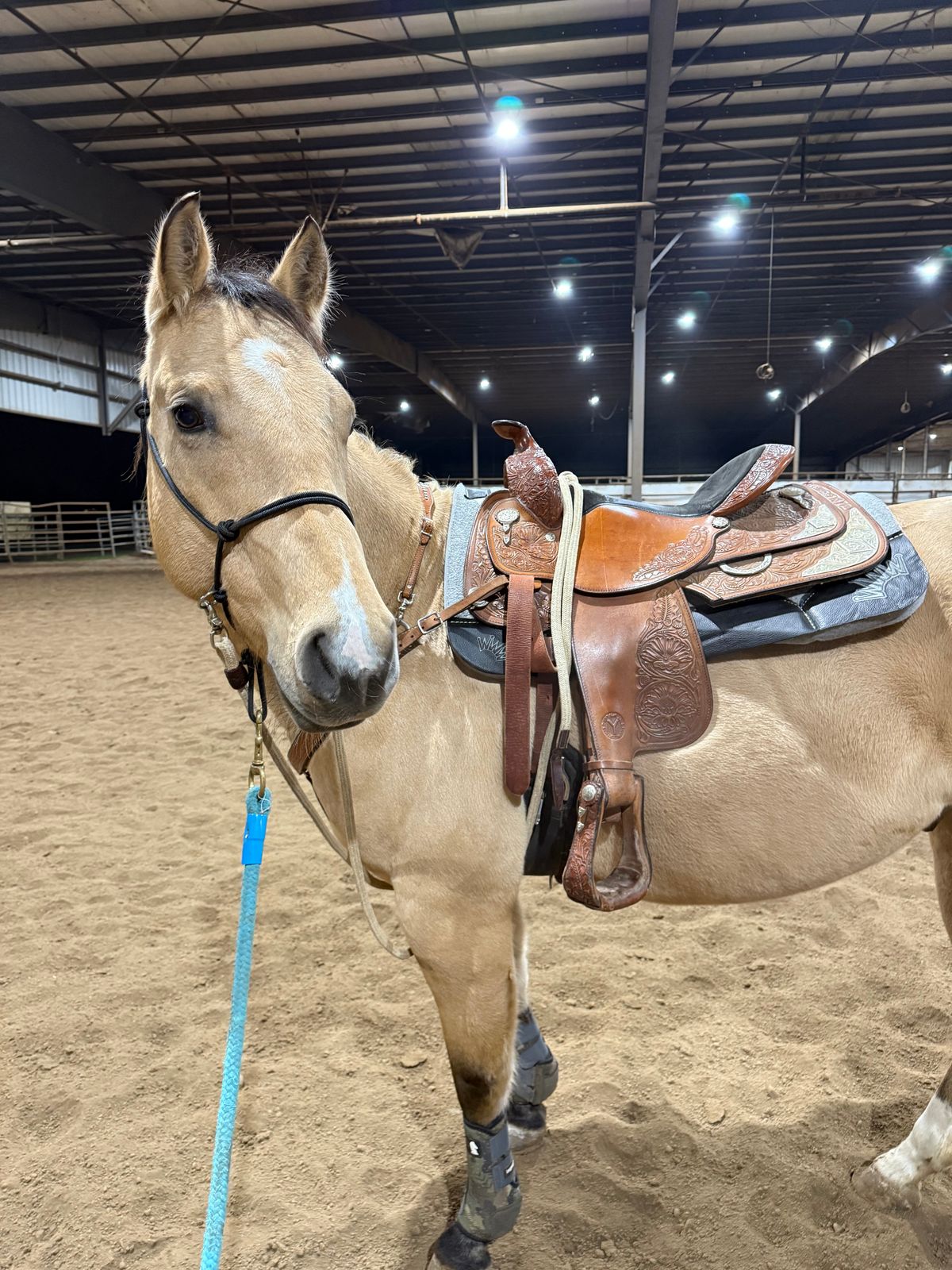 Best Ever Pads 1/4 Inch Felt Saddle Pad with Smooth Black Wear Leath