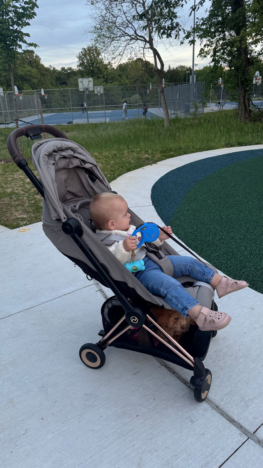 nuna stroller options DEMI Next + Rider Board Shop>>BIKES>>Home  Spin® Bikes spool size and color (choose one):50 yards orange Visor 3xl Full Face boo window flap