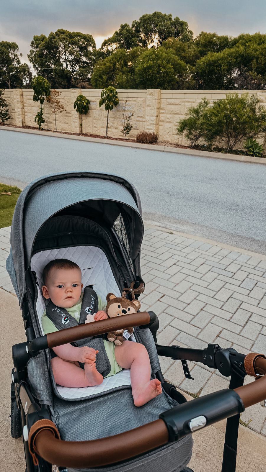 Sensory Pram Toy Riff The Fox – Riff Raff Baby AU