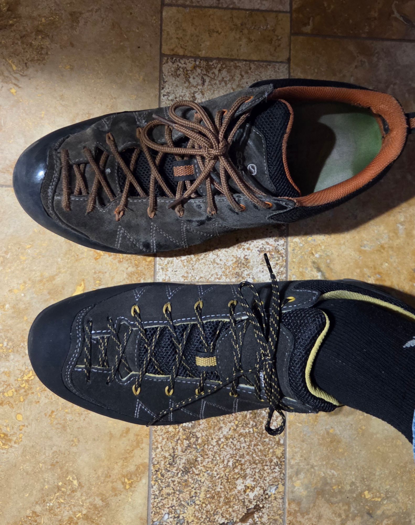 SCARPA MESCALITO GORE-TEX AZUR - Chaussure de randonnée basse