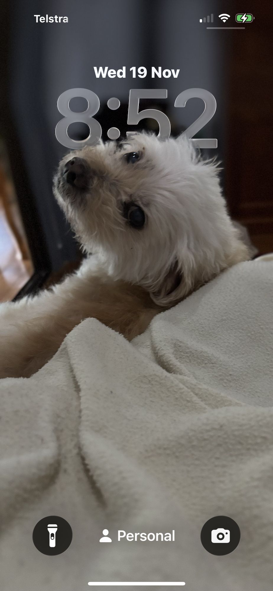 Customer photo 3