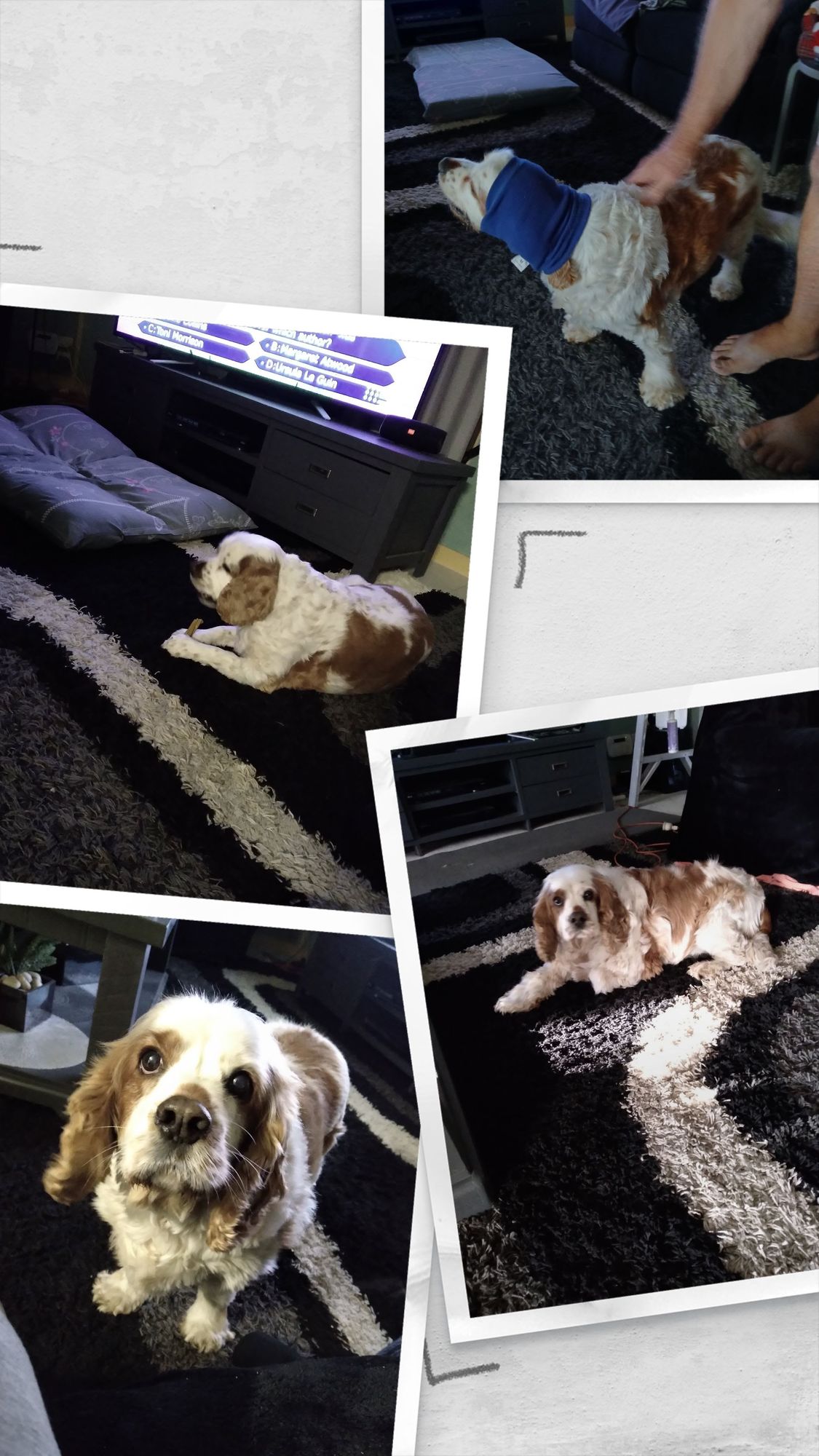 Customer photo 9