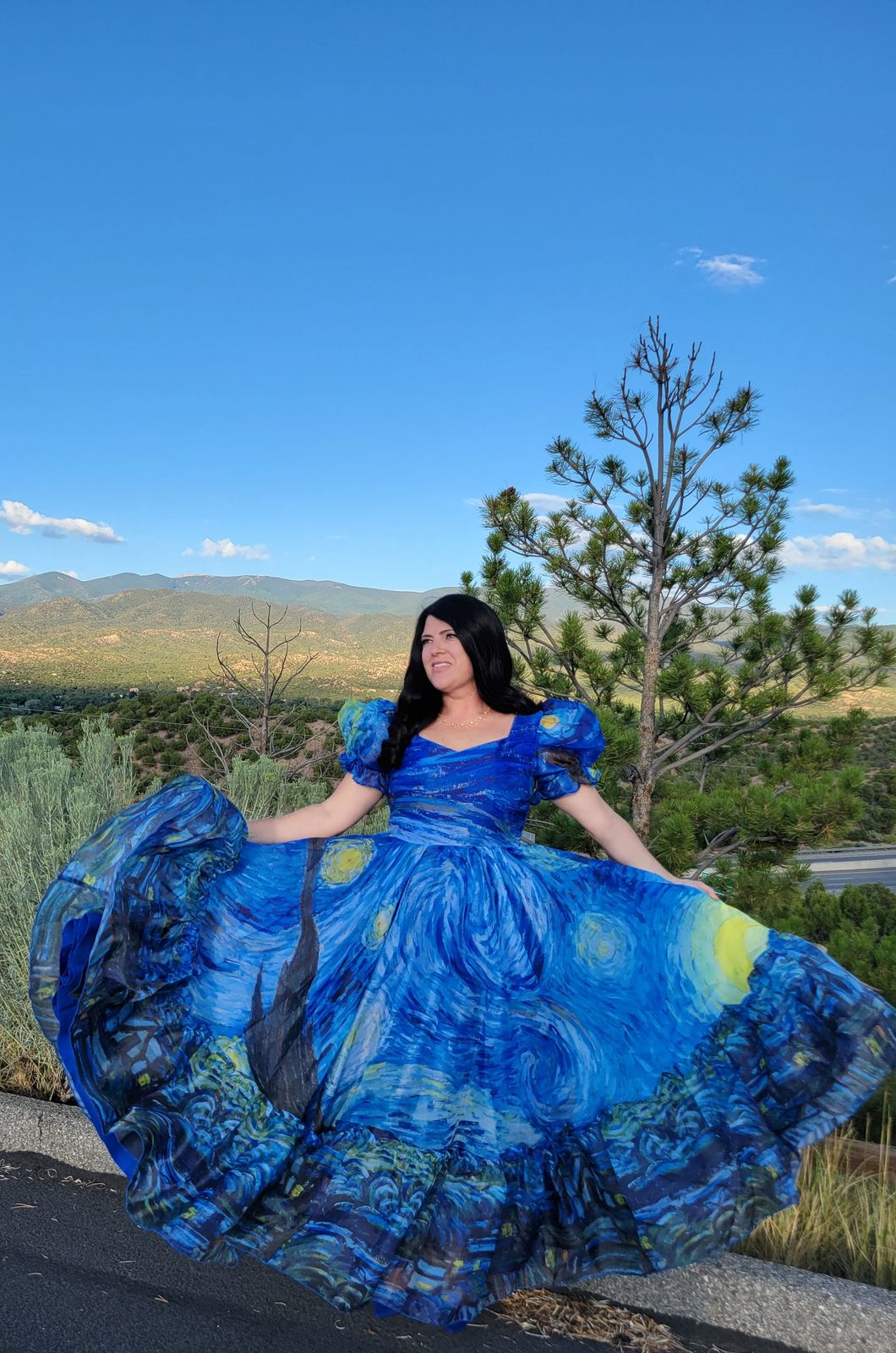 dark blue starry dress Night | Short Sleeve Maxi Dress Reformation Rosalynn Asymmetrical Fitted size 12 Color:Pansy US 12 / UK
