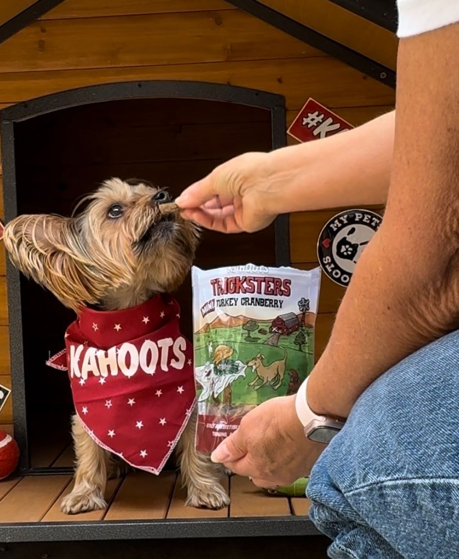 Animal Rescue Kahoots Pet Supply Tricksters Minis Smoked Beef Dog