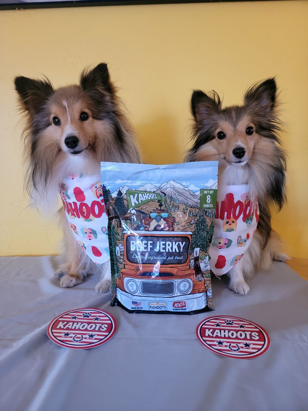 Turkey Jerky Dog Treats Kahoots Pet