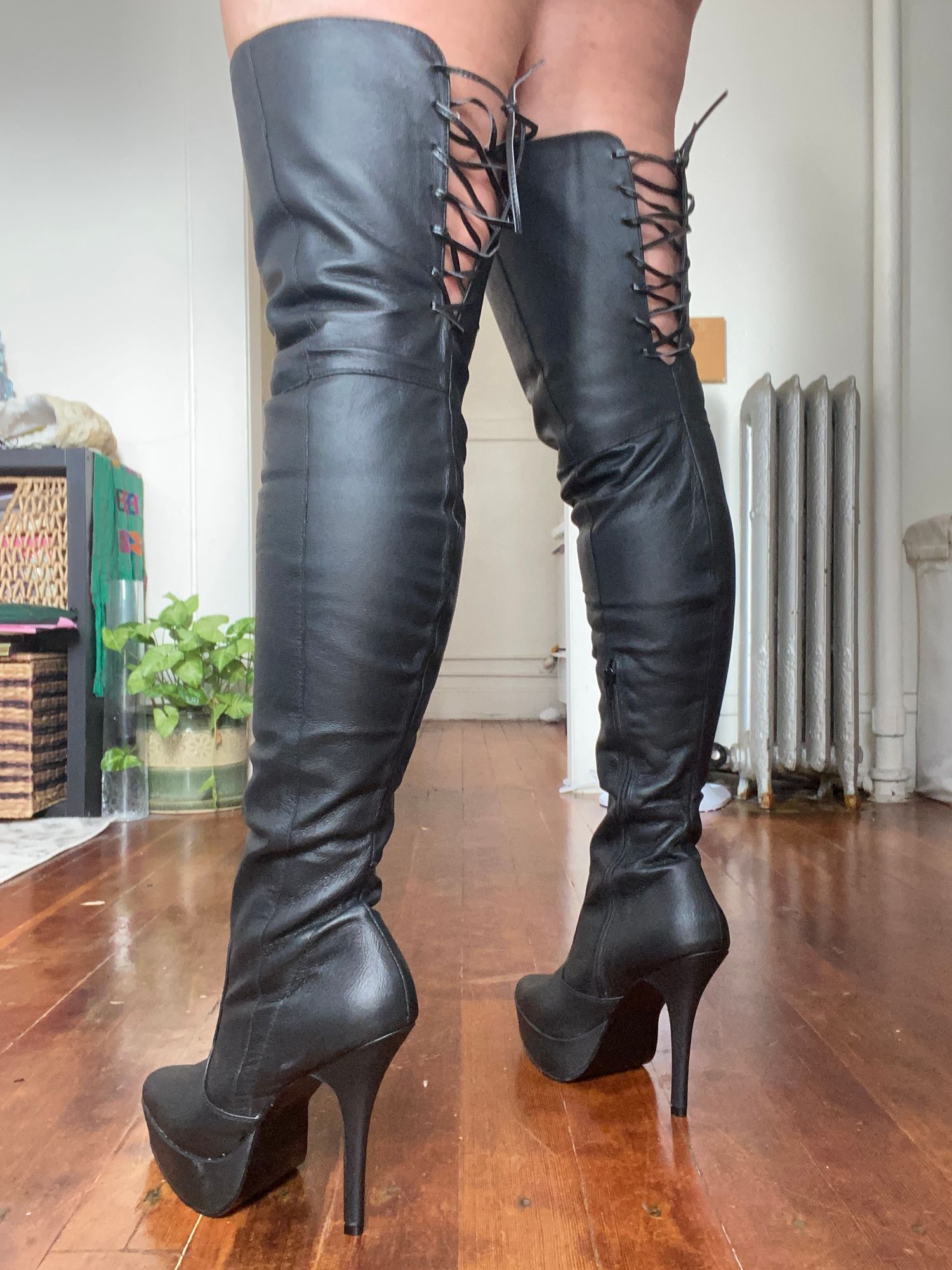 Devious Indulge-3011 in Black Leather – Pleaser Shoes