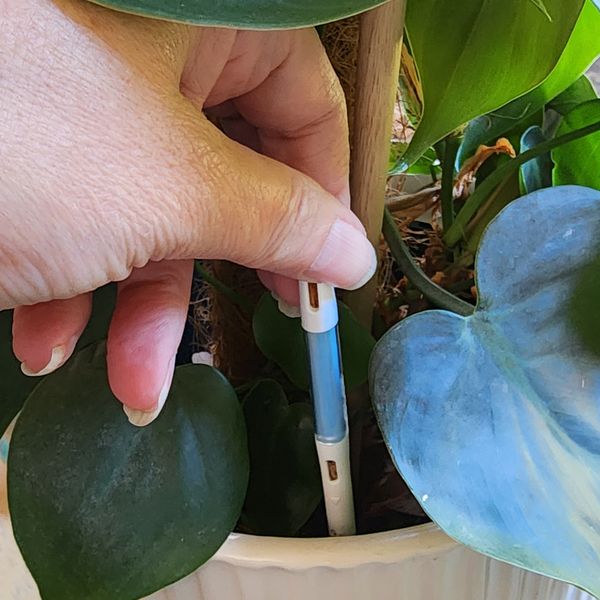 Reviews  Plants in a box