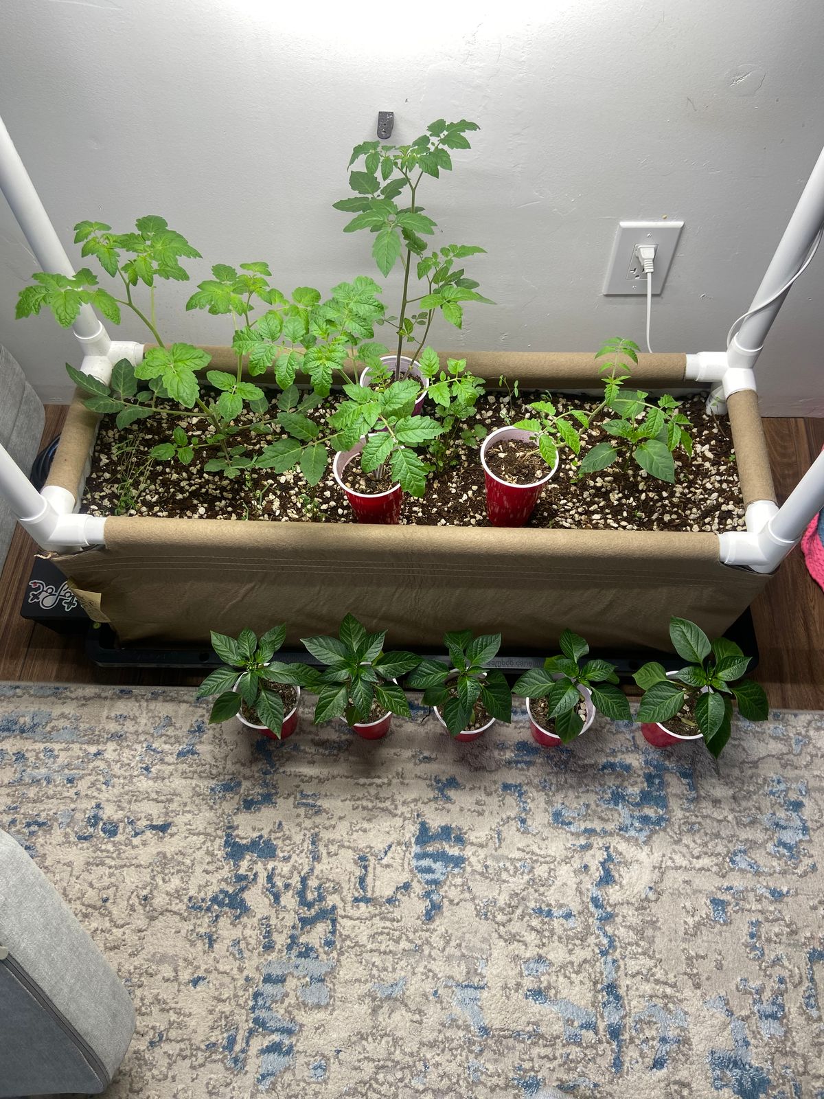 Grassroots Tray2Grow Living Soil Bed - Image 3