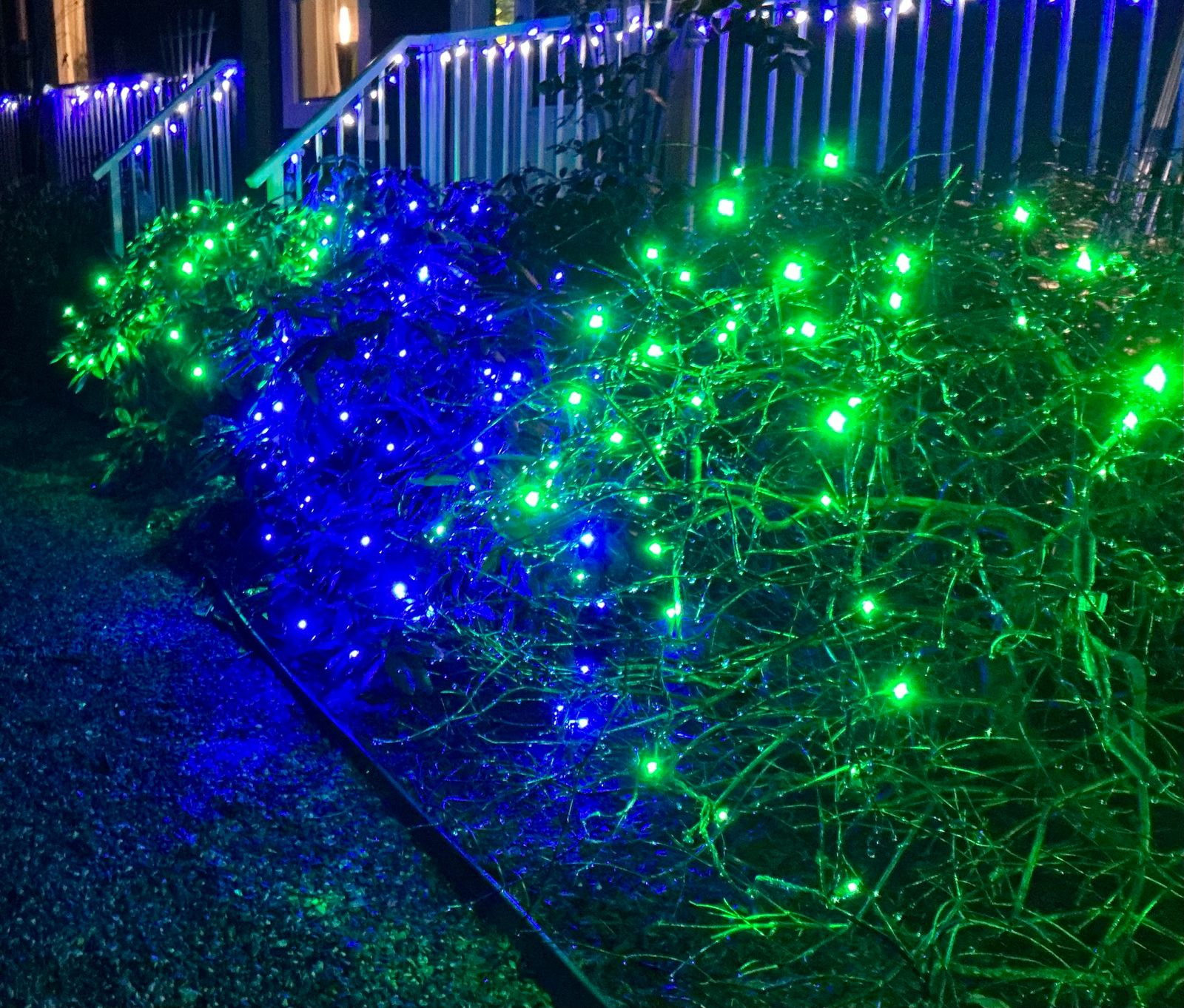 Garden area at night decorated with blue and green string lights illuminating plants and bushes near a wooden fence