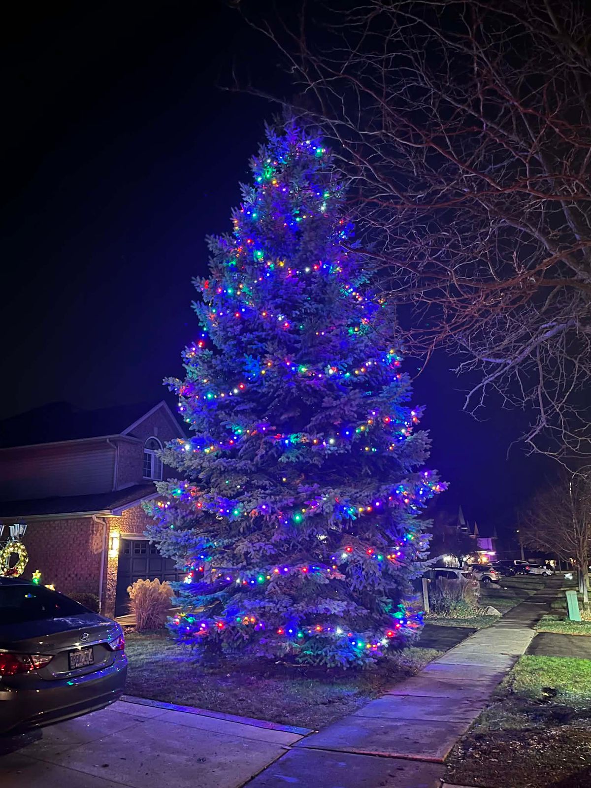A large evergreen Christmas tree decorated with colorful lights stands in a residential front yard at night, with a house and bare winter trees visible in the background.