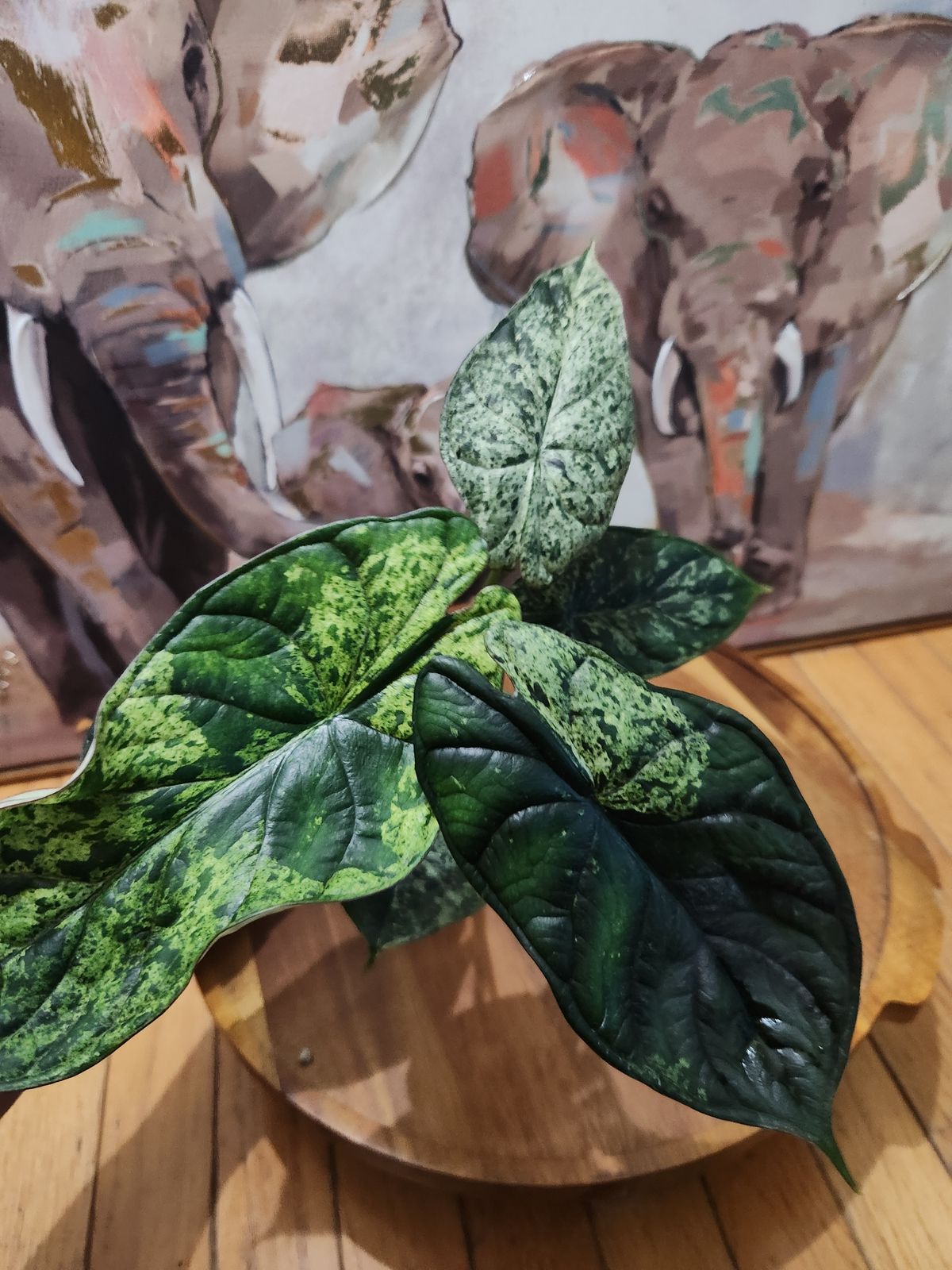 künstliche wohnzimmer pflanzen Monstera Künstliche Pflanze auf Stamm 150 cm main image 1