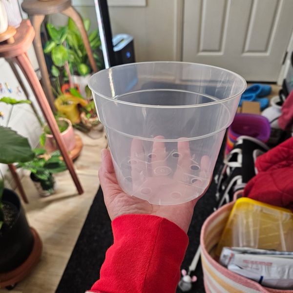 6" Clear Grow Pots (3 pack)  BWH Plant Co