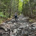 A hiker with trekking poles navigates a rocky stream bed trail through a lush green forest with tall trees and dappled sunlight.