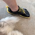 A person wearing black and yellow running shoes stands next to a gray and white cat on a concrete surface.