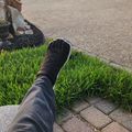 Person's leg and foot extended on grass next to brick paver walkway in residential neighborhood with houses and driveways visible in background