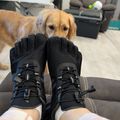 A person wearing black and blue hiking boots with white socks sits indoors, with a golden retriever dog visible in the background near a gray armchair in a living room.